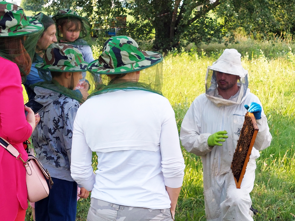 Immagine: Il ritorno delle arnie colorate di Coopservice, il PTE e la battaglia decisiva per salvare la biodiversità